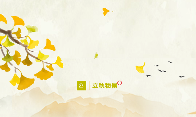 image.png?v=1757830891684