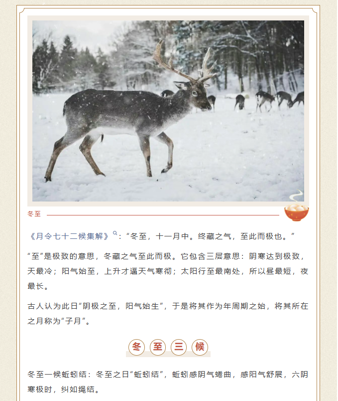 image.png?v=1770177741296