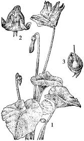 pagenumber_ebook=218,pagenumber_book=218