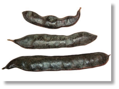 pagenumber_ebook=202,pagenumber_book=189