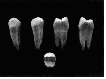 pagenumber_ebook=206,pagenumber_book=197