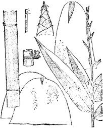 pagenumber_ebook=128,pagenumber_book=128