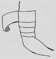 pagenumber_ebook=84,pagenumber_book=71