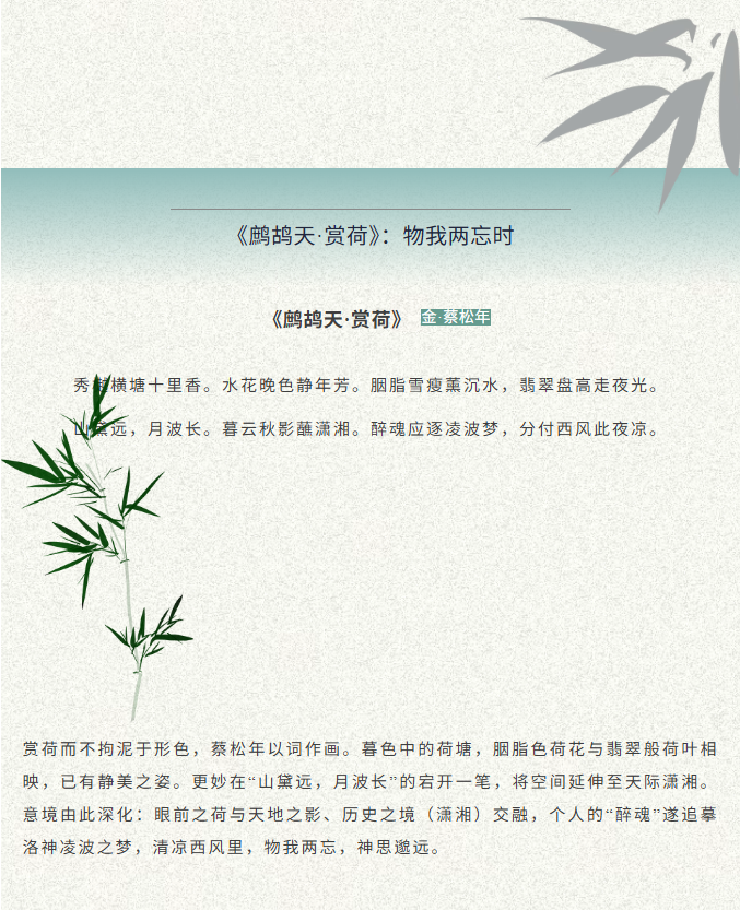 image.png?v=1774110504356