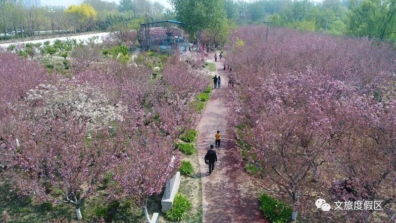 微信图片_20200509164957