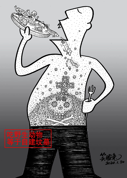 image image.png?v=1784605935267