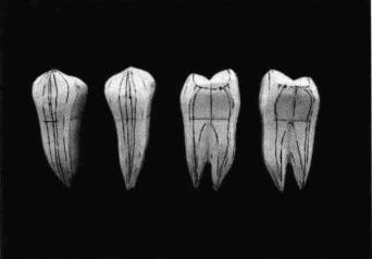 pagenumber_ebook=204,pagenumber_book=195