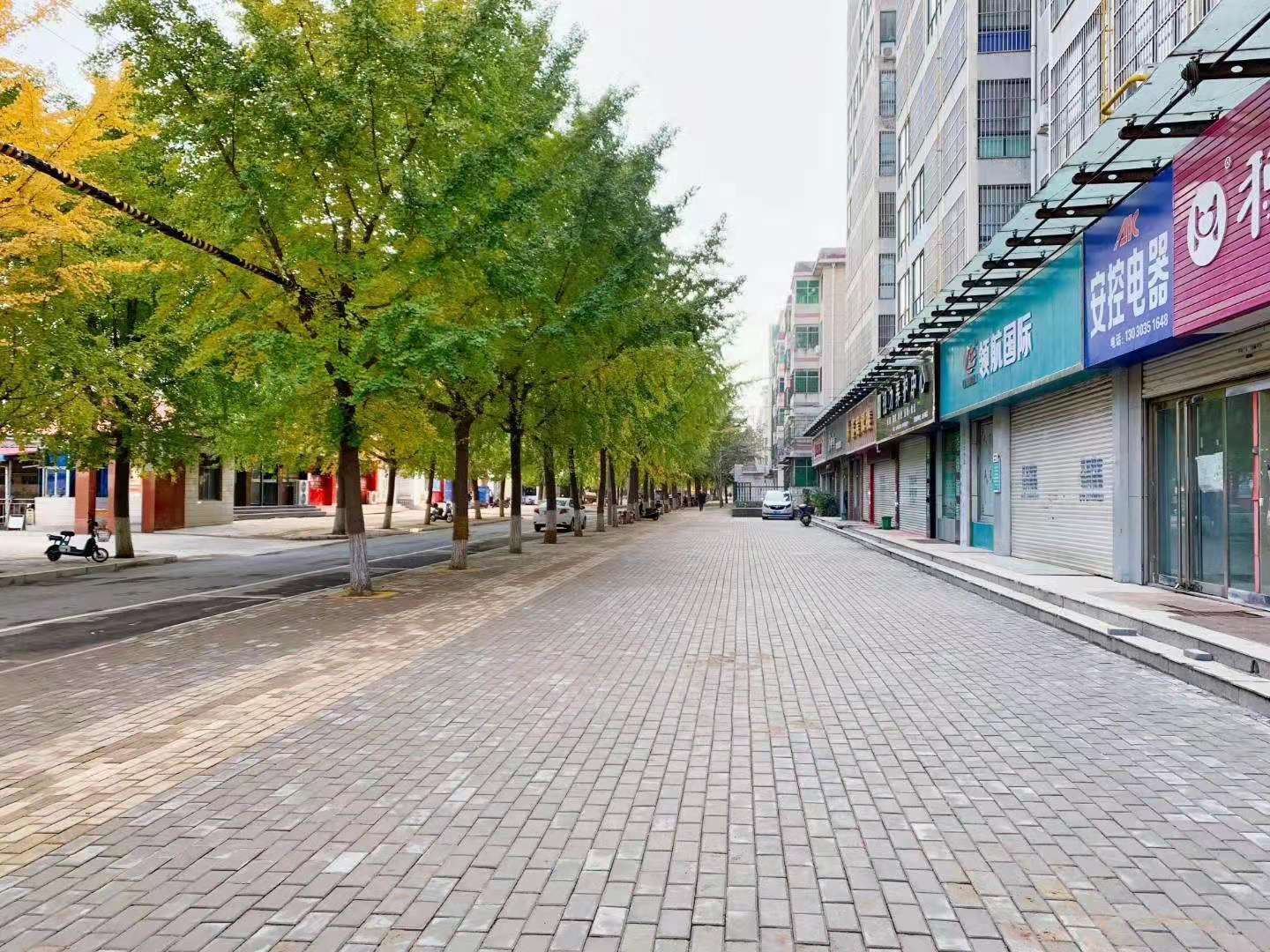 893085ec5bbb1c18ec65bfbd969d8bc