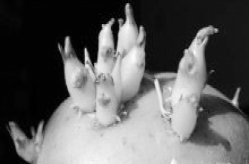 pagenumber_ebook=121,pagenumber_book=121