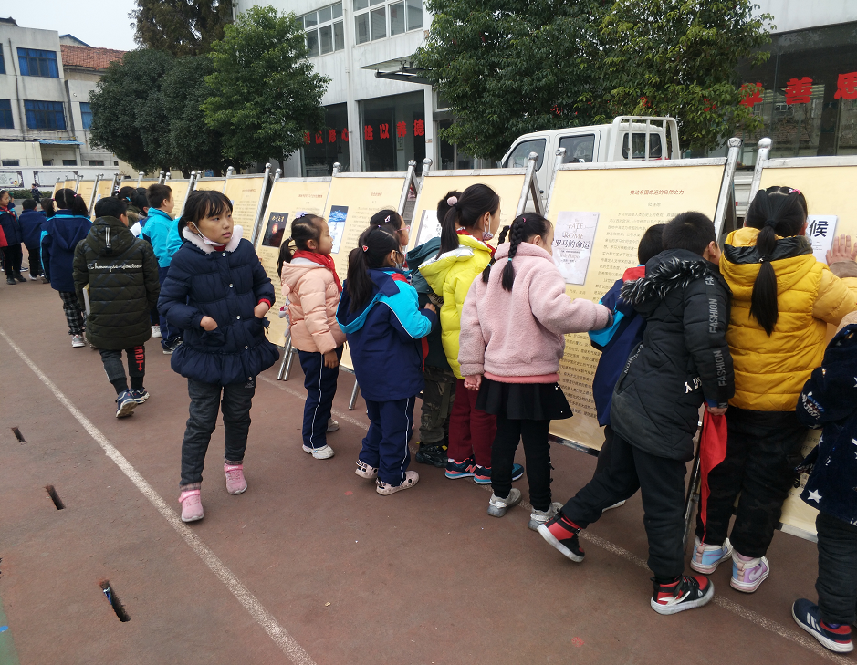 2020120203 2020120203.png?v=1762631126077