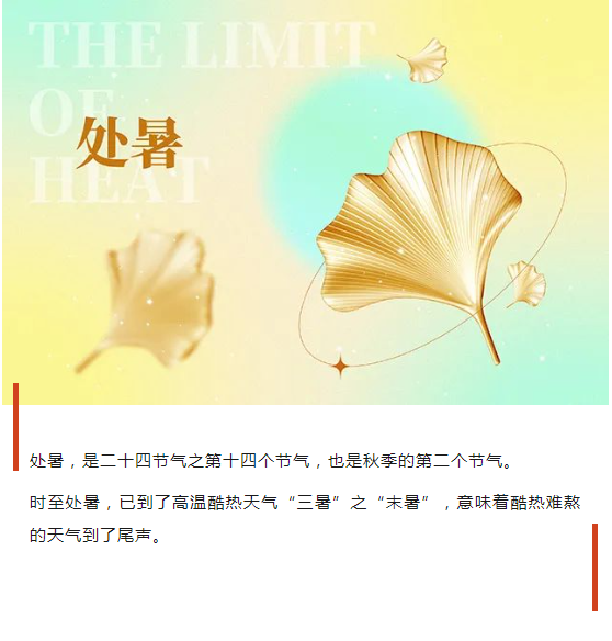 image.png?v=1750240634082