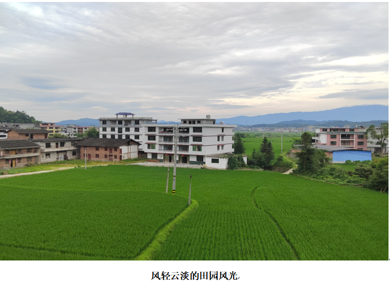 1732348902882 1732348902882.png