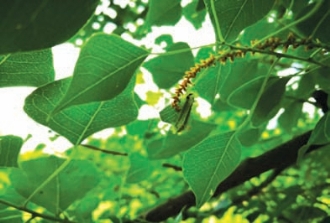 pagenumber_ebook=49,pagenumber_book=41