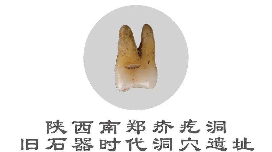 微信图片_20201204121214 微信图片_20201204121214.jpg