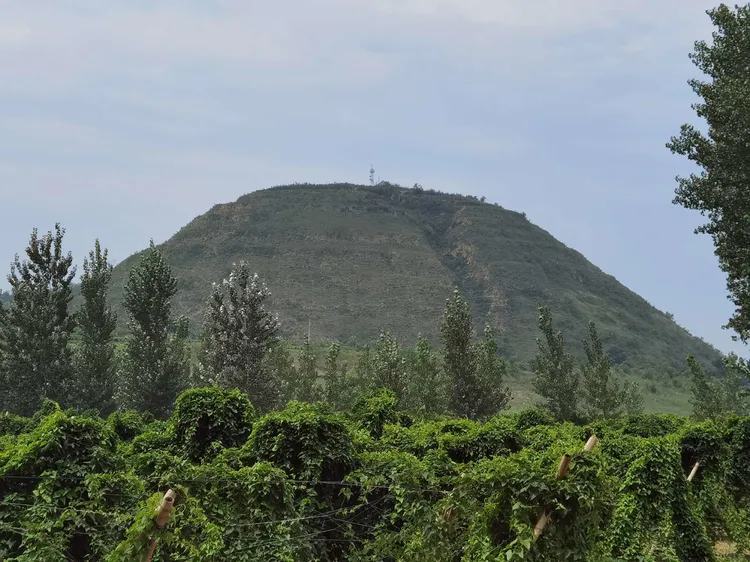 微信图片_20201021111444