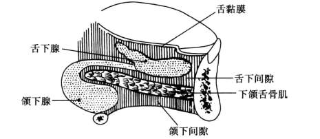 pagenumber_ebook=119,pagenumber_book=110