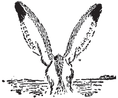 pagenumber_ebook=234,pagenumber_book=226