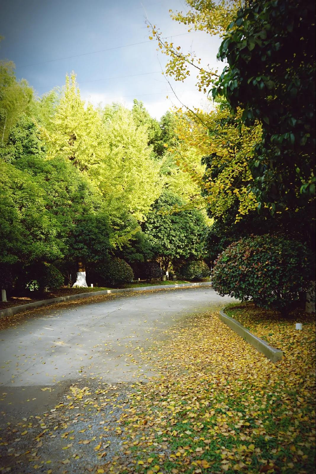 微信图片_20201124233937