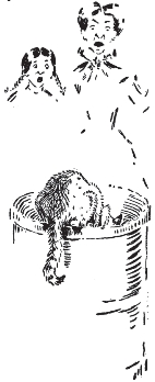 pagenumber_ebook=41,pagenumber_book=33