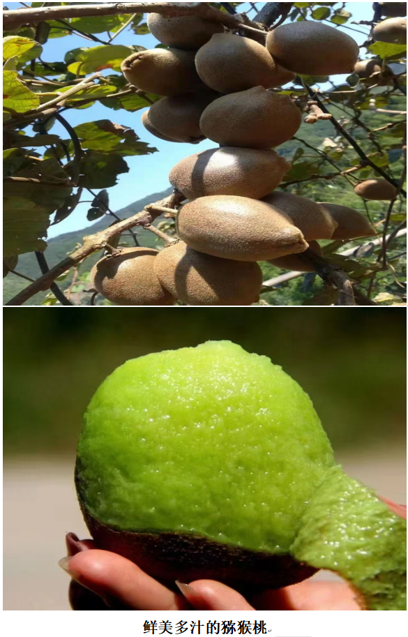 1732192839072 1732192839072.png