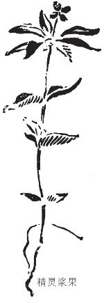 pagenumber_ebook=312,pagenumber_book=304