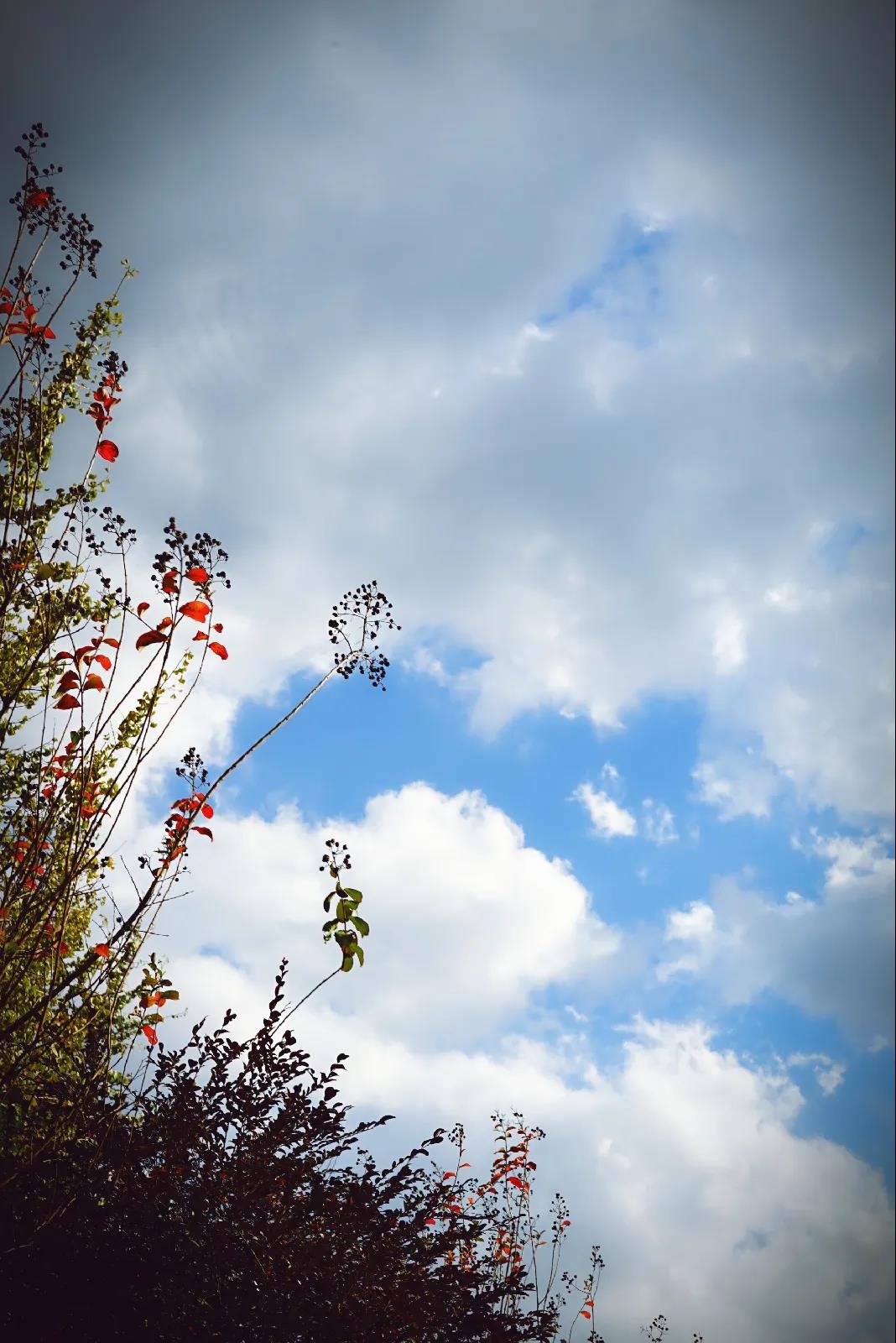 微信图片_20201124234222