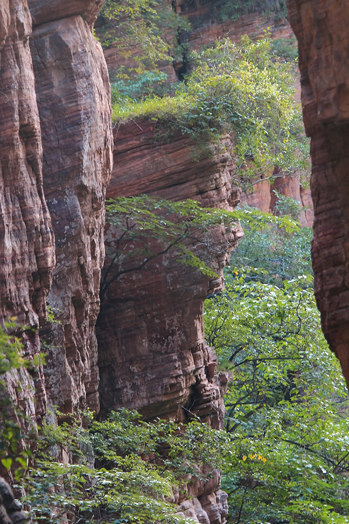 20170831100529170 20170831100529170.jpg