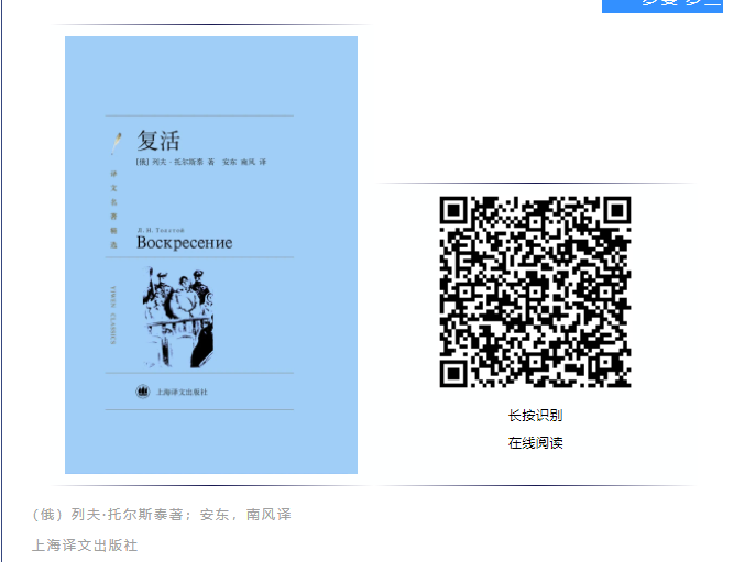 image image.png?v=1763579565294