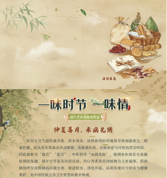 image.png?v=1782174181266