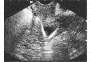 pagenumber_ebook=702,pagenumber_book=702