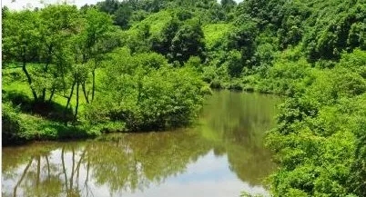 640.webp (9) 640.webp (9).jpg