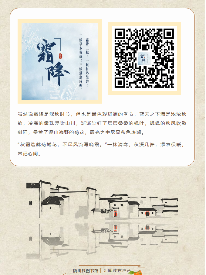 image.png?v=1762073929220