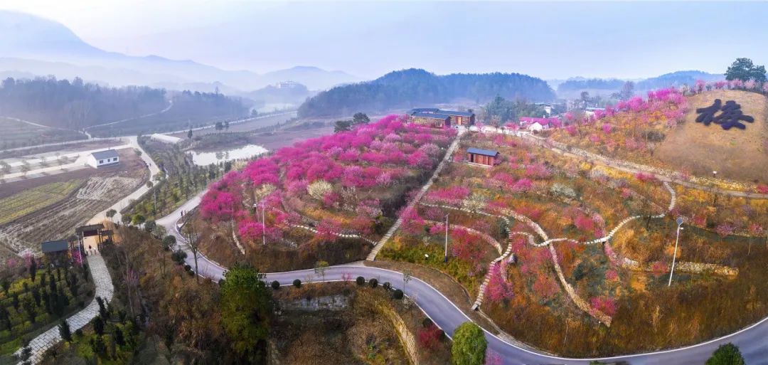 https://mmbiz.qpic.cn/mmbiz_jpg/MKZSFloDgrLSLz6rUpfWMOgxQSTnkzR2qcFVGTtkiaiaIcDf7OzBcdmz6V2Tj0dPUChOoibCfwy3ibQyGzWM6gor7A/640?wx_fmt=jpeg&wxfrom=5&wx_lazy=1&wx_co=1