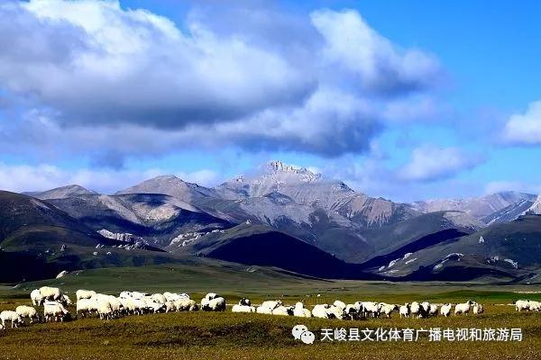 微信图片_20190121181529 微信图片_20190121181529.jpg?v=1765701132132