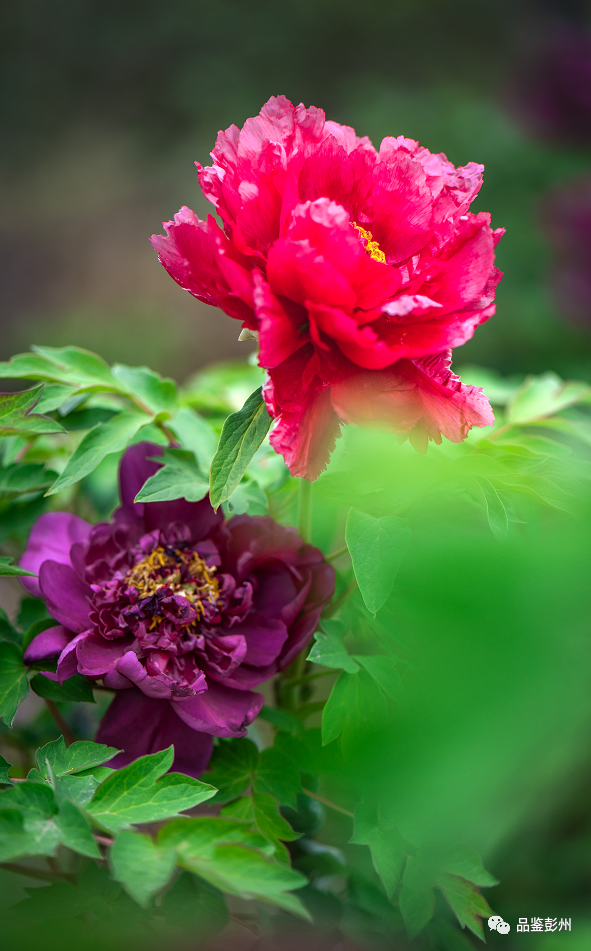 7 7.png?v=1765587968891