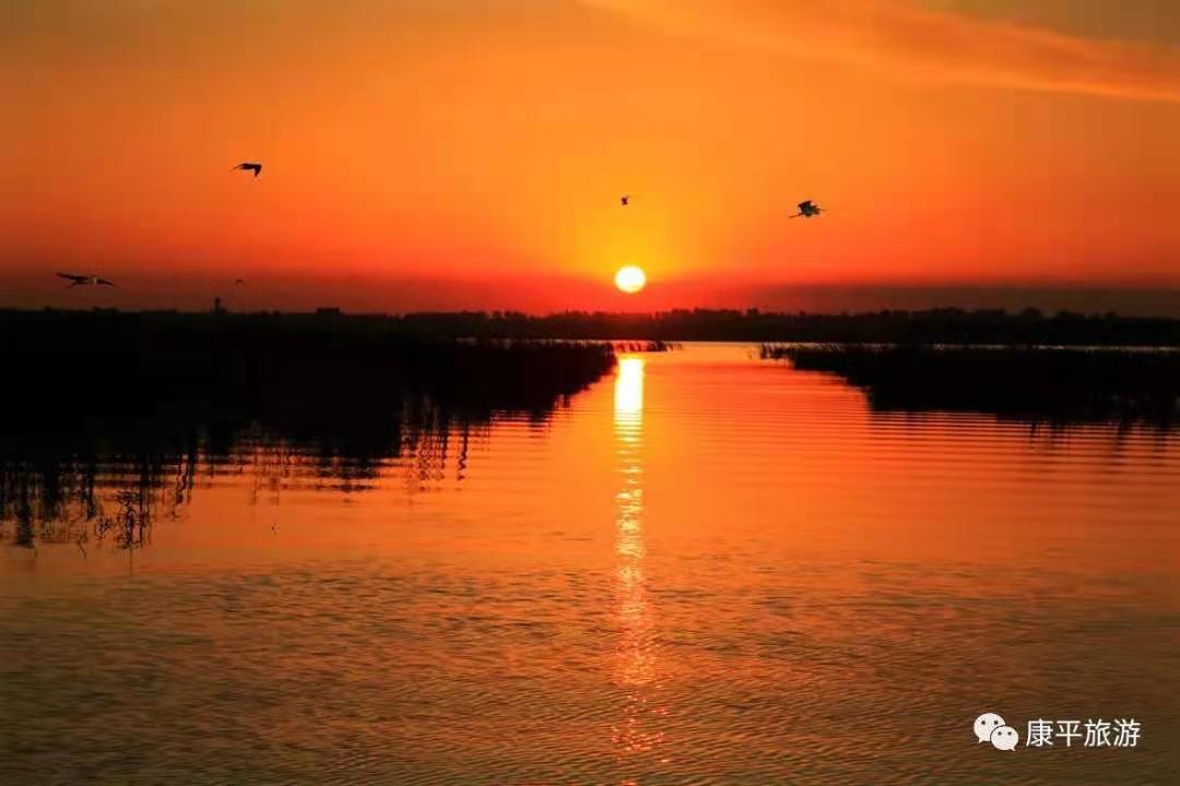 1aecdf72cd69fa9ee50a5dfbbf701d8 1aecdf72cd69fa9ee50a5dfbbf701d8.jpg