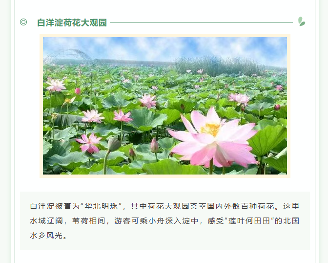 image.png?v=1766278434585