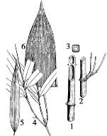 pagenumber_ebook=127,pagenumber_book=127