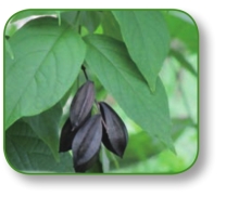 pagenumber_ebook=154,pagenumber_book=141