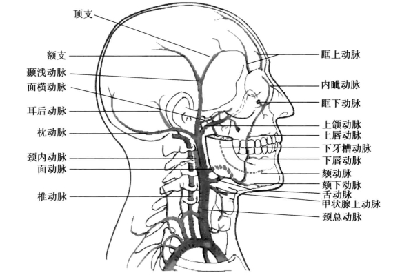 pagenumber_ebook=75,pagenumber_book=66