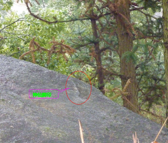 图片 1 图片 1.png