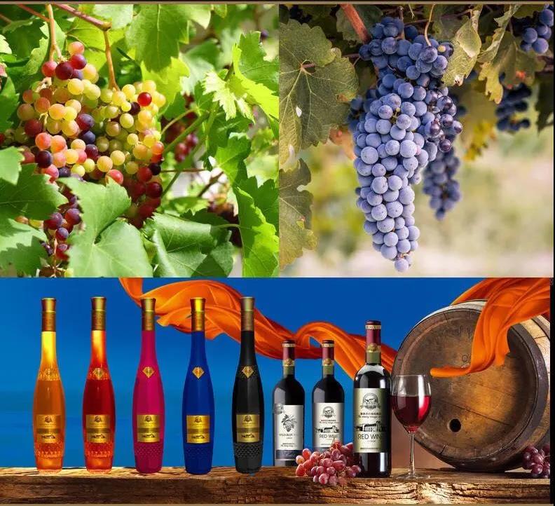 微信图片_20200419092133