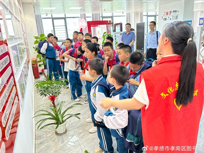 image image.png?v=1762620929756