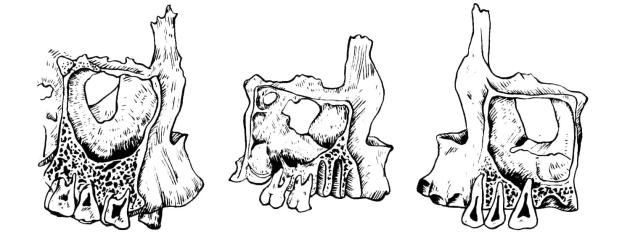 pagenumber_ebook=59,pagenumber_book=50