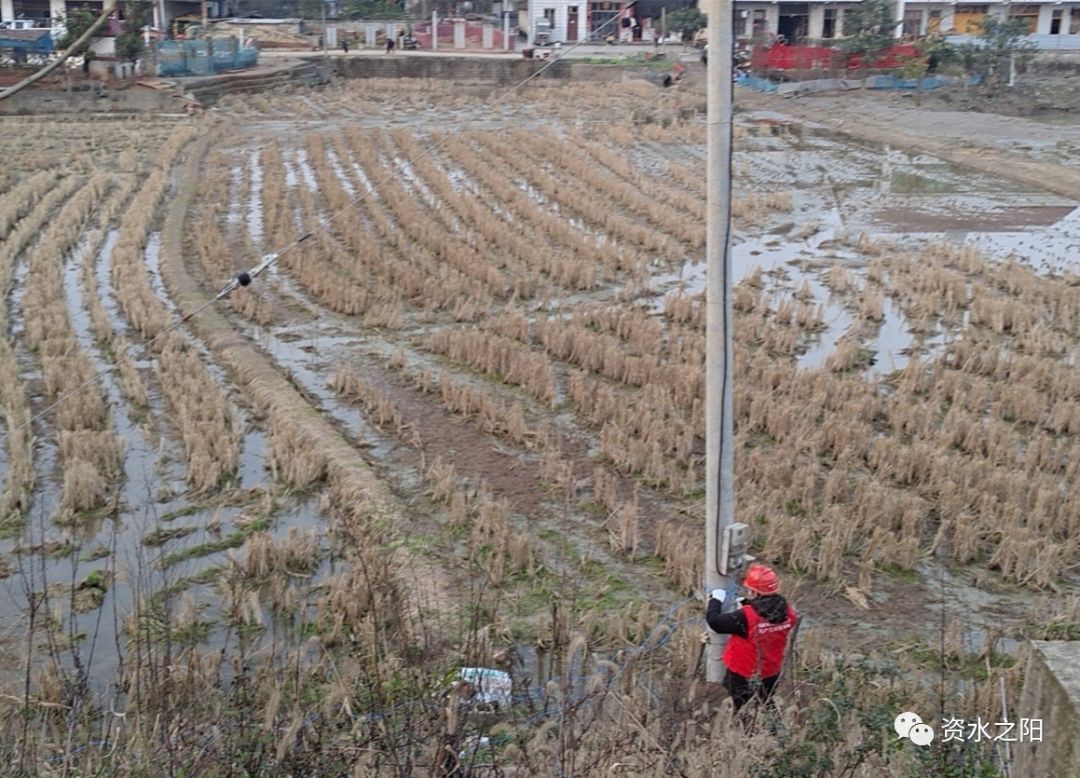 24 24.jpg?v=1765898062475