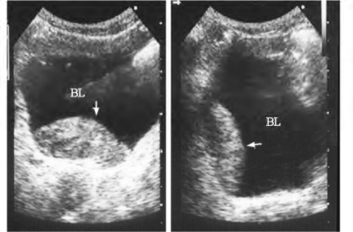 pagenumber_ebook=636,pagenumber_book=636