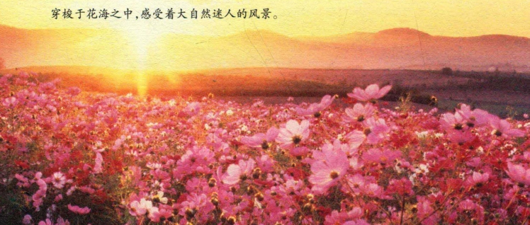 pagenumber_ebook=199,pagenumber_book=190