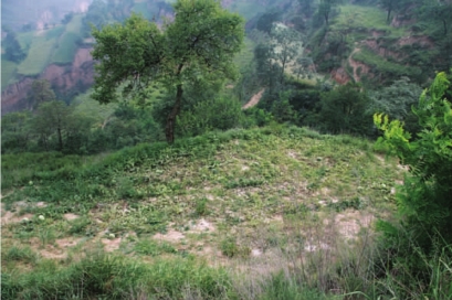 pagenumber_ebook=25,pagenumber_book=15