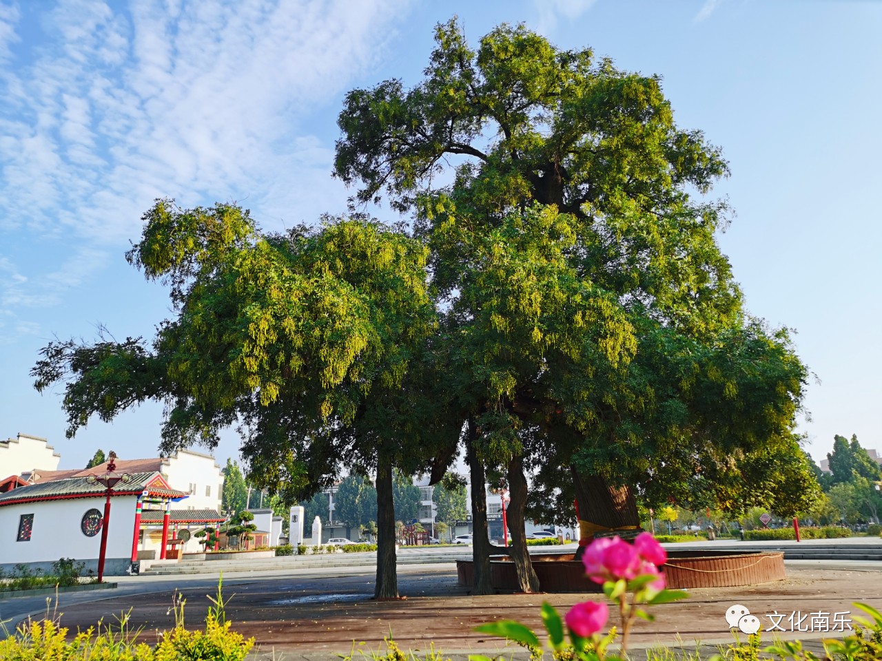 a14acae7c715e4be0750d0144c41eb65 a14acae7c715e4be0750d0144c41eb65.jpg