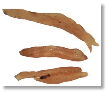 pagenumber_ebook=283,pagenumber_book=270